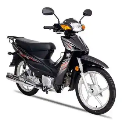 HJ110-6: Maneja cómodamente por Honduras con la Haojue HJ110-6, moto semiautomática y eficiente.