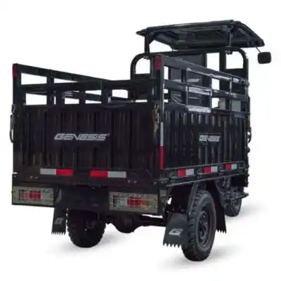 Genesis MC 300 Carga "La mejor moto de carga en Honduras: Genesis MC-300 🏆" Compra la tuya en MOTOMUNDO.