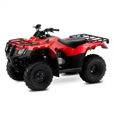 Honda TRX250 La Cuatrimoto Honda TRX250 con su suspensión de alto rendimiento. ¡Máxima comodidad en Honduras! Compra la tuya en DIDEMO.